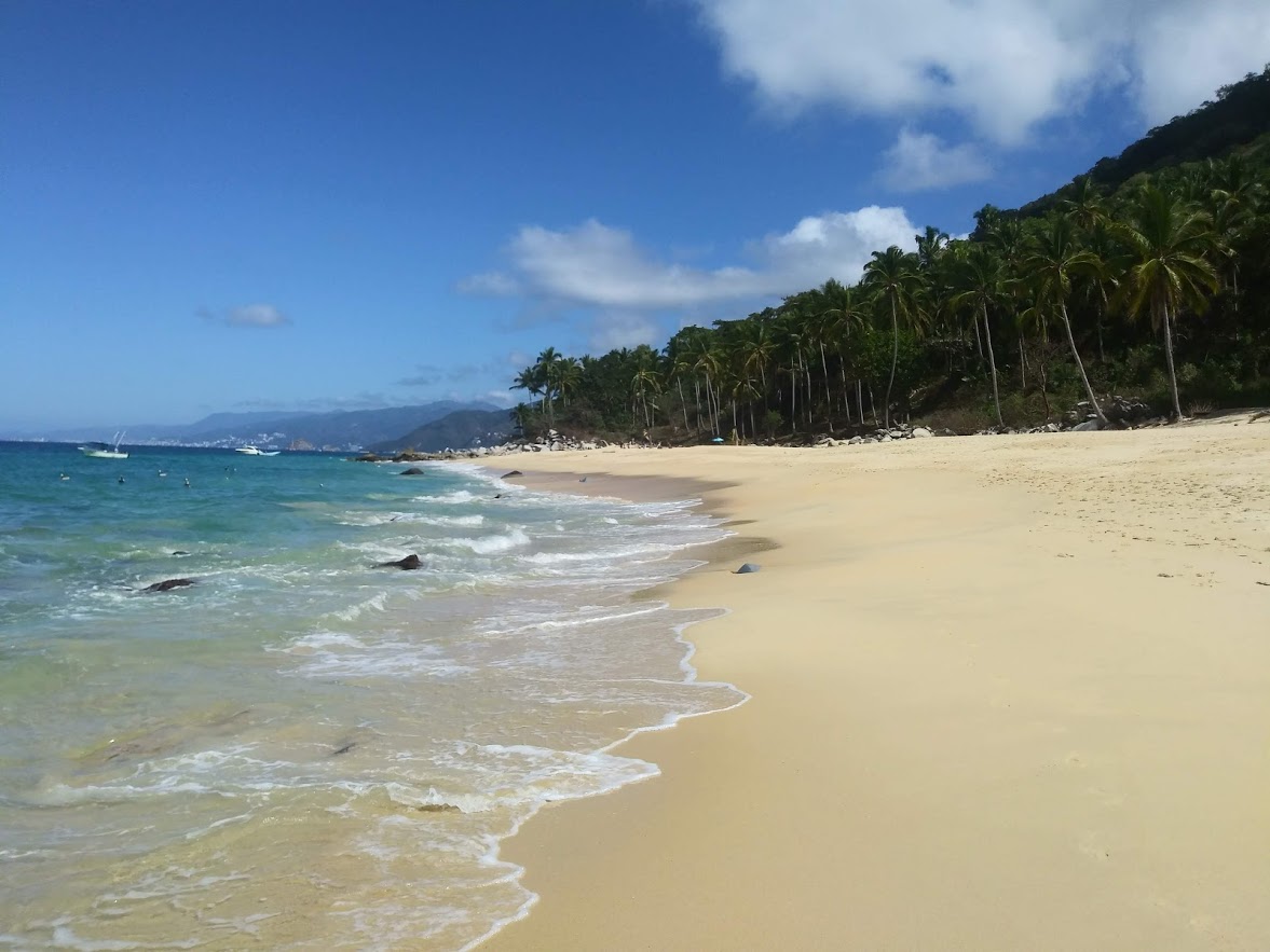 Puerto Vallarta Condo — image 12